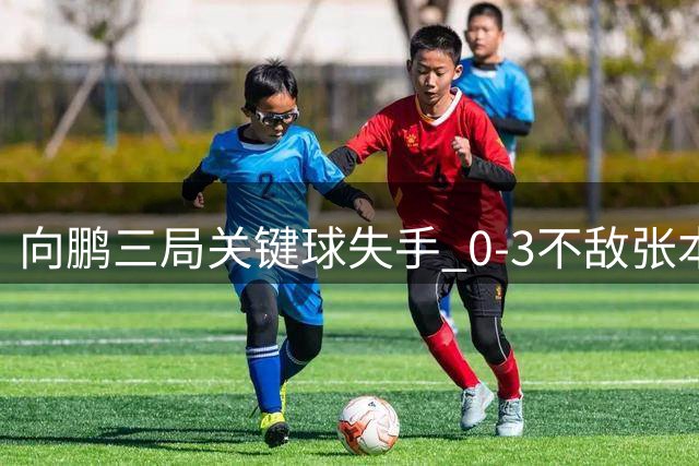 向鹏三局关键球失手 0-3不敌张本智和止步横滨冠军赛